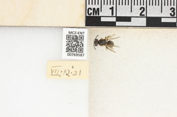 Media type: image;   Entomology 769587 Aspect: Labels